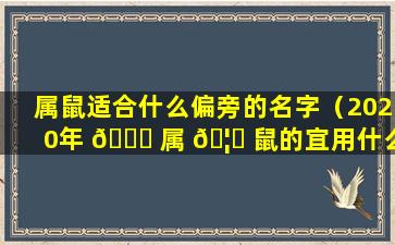 属鼠适合什么偏旁的名字（2020年 🐞 属 🦆 鼠的宜用什么偏旁部首）